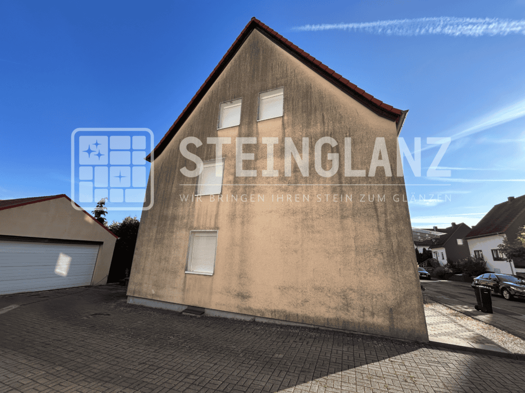 Giebelfassade vor der Reinigung