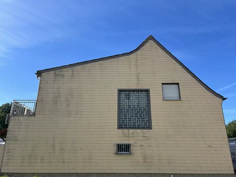 Giebelwand mit Grünbelag vor der Fassadenreinigung