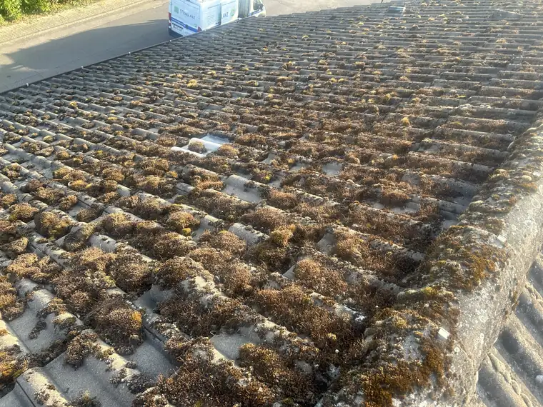 Betondachsteine mit dicken Moospolstern vor der Reinigung