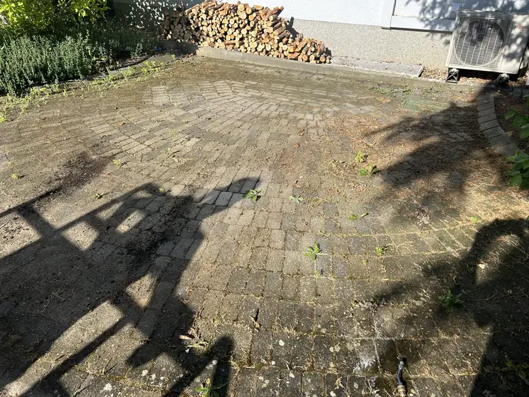 Hoffläche mit Moos und Unkraut in den Fugen vor der Reinigung
