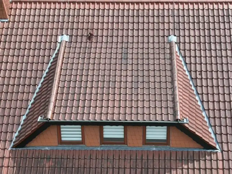 Dachfläche mit Gaube vor der Reinigung