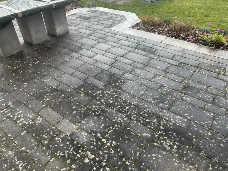 Terrasse mit Flechtenbefall vor der Reinigung