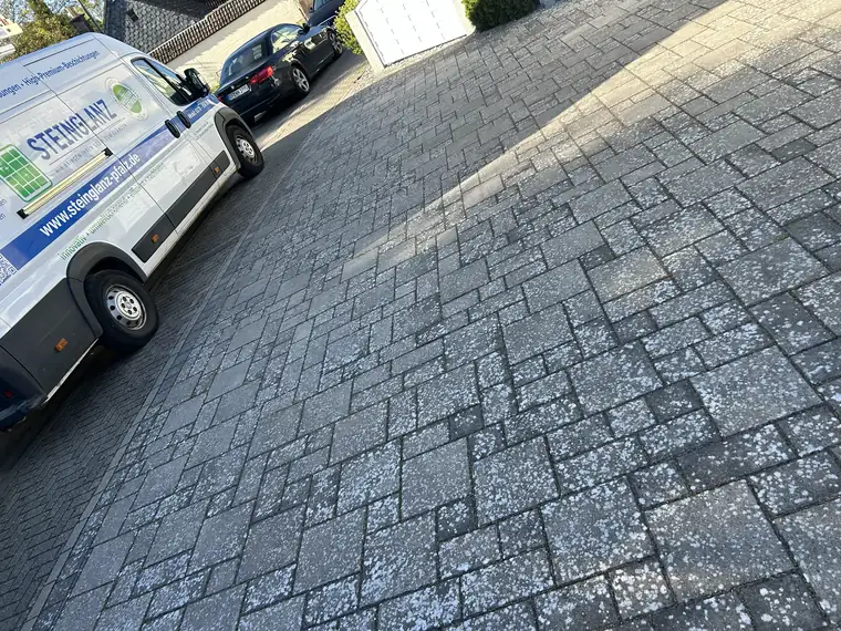 Große Pflastereinfahrt mit Grünbelag vor der Reinigung