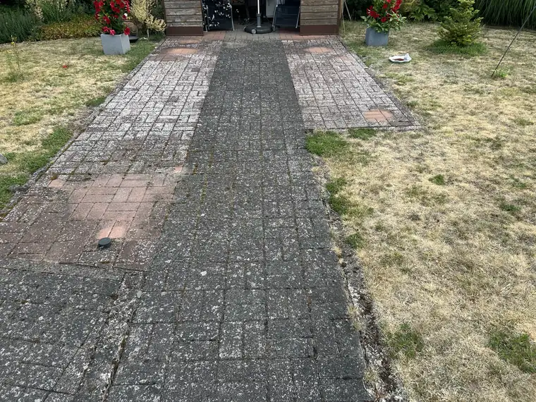 Gartenweg zur Terrasse mit dunklem Grünbelag vor der Reinigung