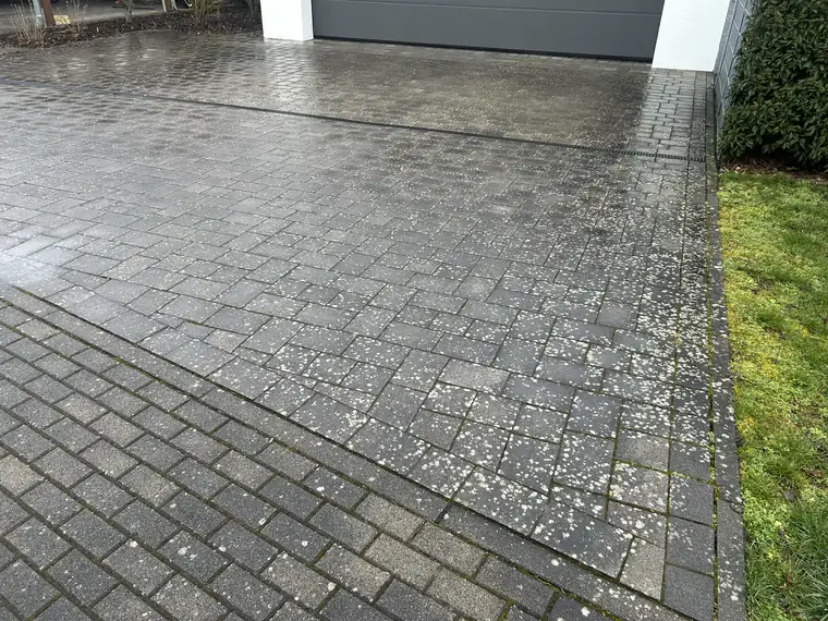 Einfahrt vor der Garage mit Algenbelag vor der Reinigung