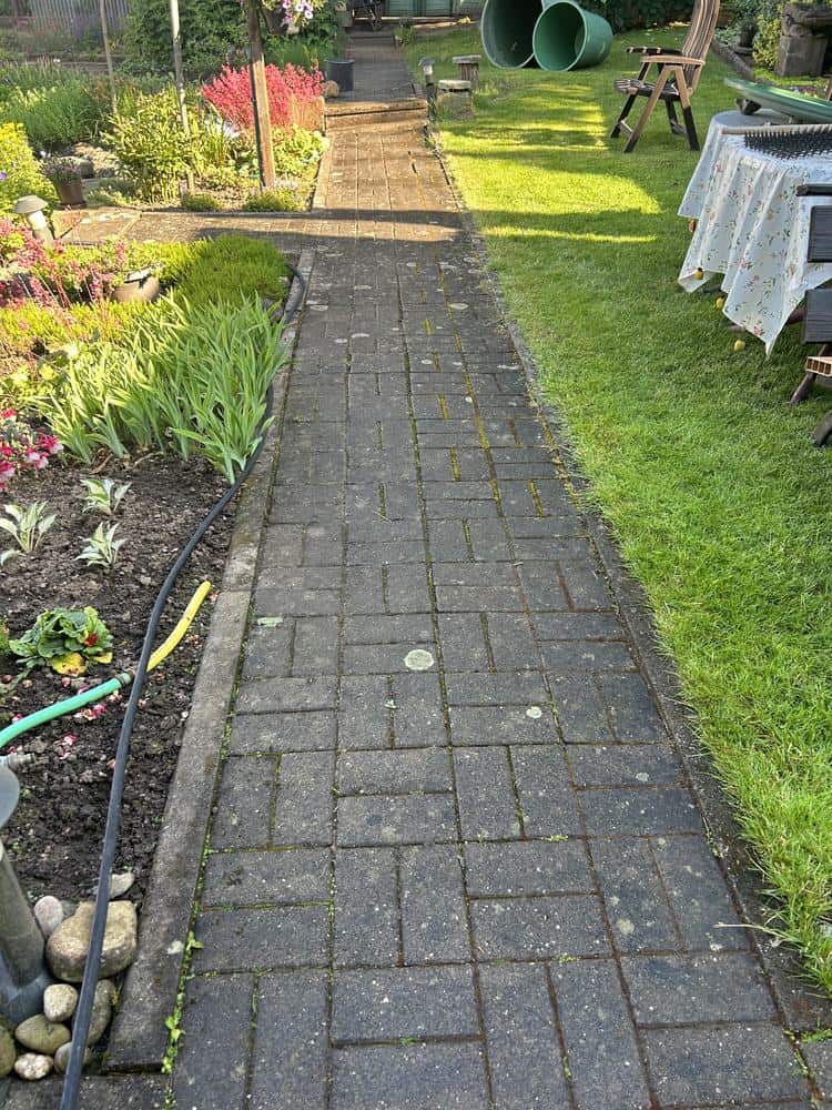 Gartenweg vor der Reinigung