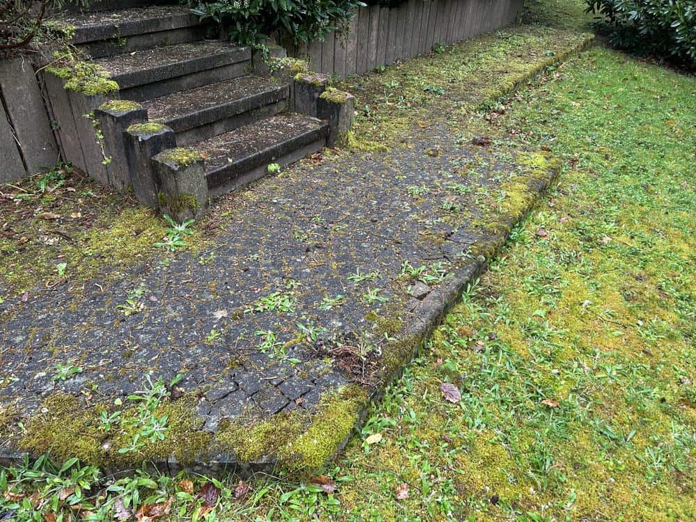Stark vermooste Treppenanlage mit Weg vor der Reinigung