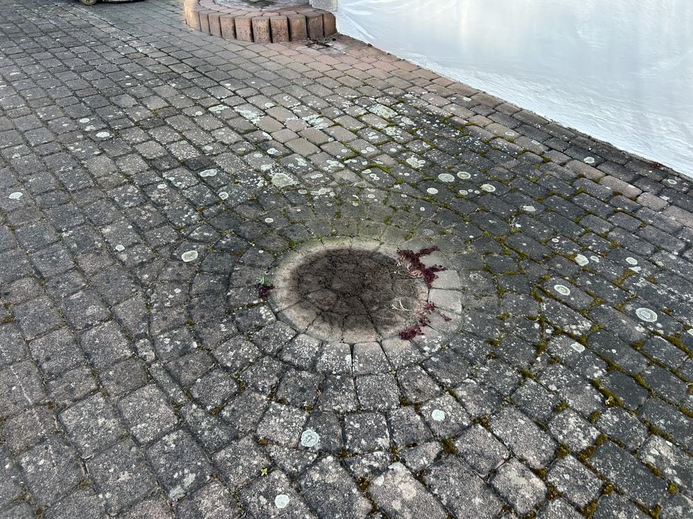 Kreisornament in der Einfahrt vor der Reinigung