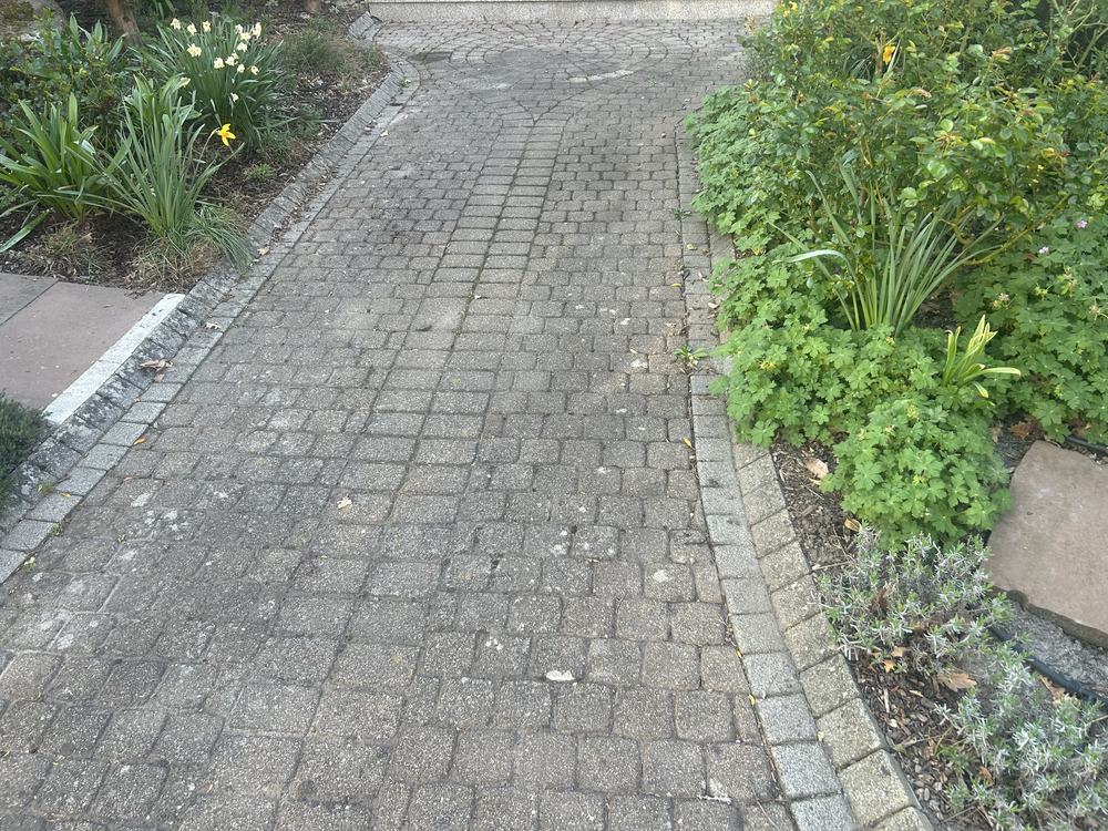 Gartenweg zwischen Beeten vor der Reinigung
